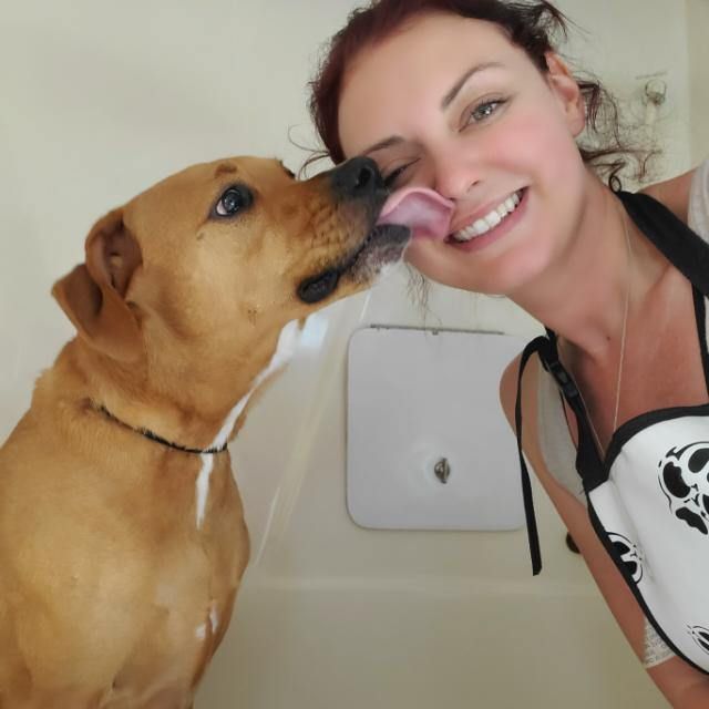 A happy customer getting kisses from her tan dog