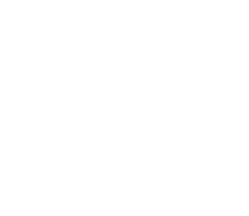 Local Dog Mobile Grooming